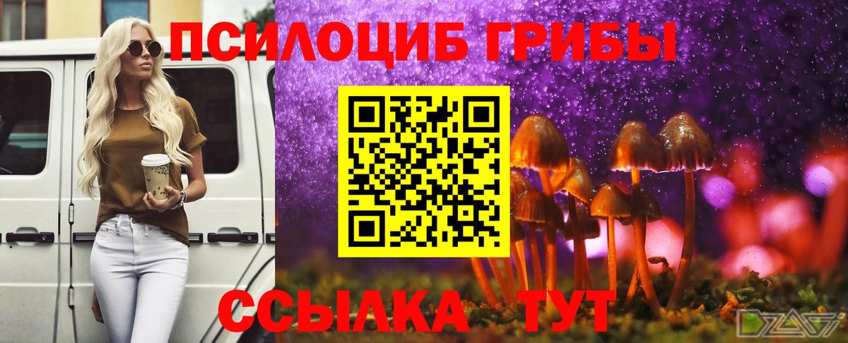 Галлюциногенные грибы прущие грибы Камышин