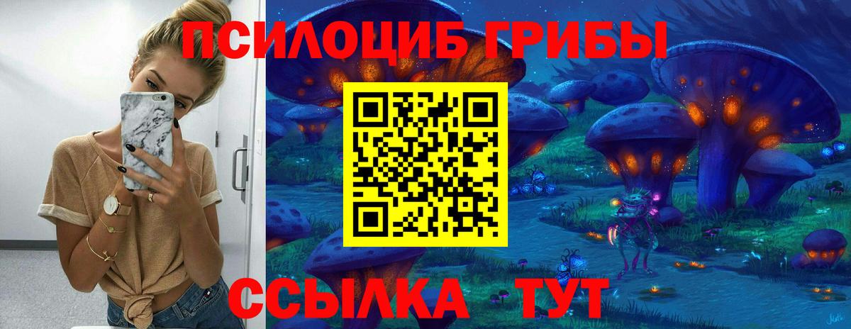 Галлюциногенные грибы ЛСД  Вход с VPN  Галлюциногенные грибы GOLDEN TEACHER  Камышин 